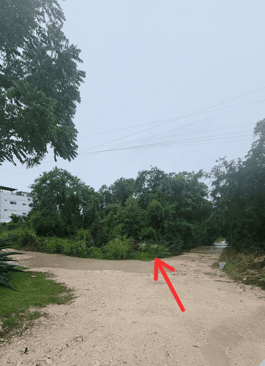 cancun-terreno-venta-flamboyanes-alamos-ii-uso-mb-esquina